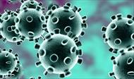 پاورپوینت ویروس کرونا: شناخت کلی کرونا virus corona